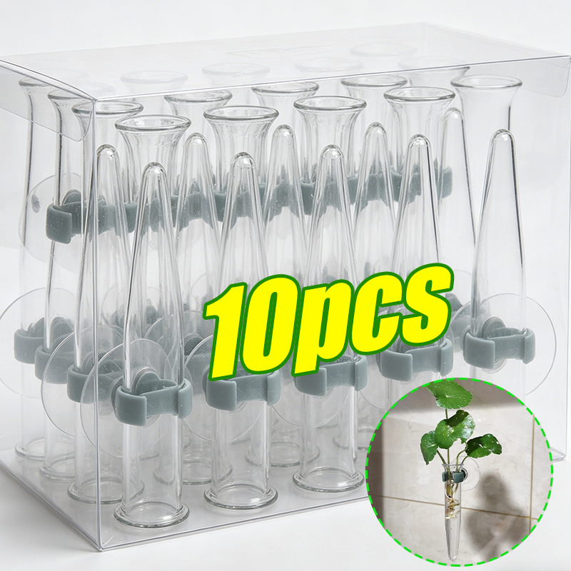 11cm Floral Water Tubes Plasti - مراجعة Nutrition & Fitness Hub Photos وسعره