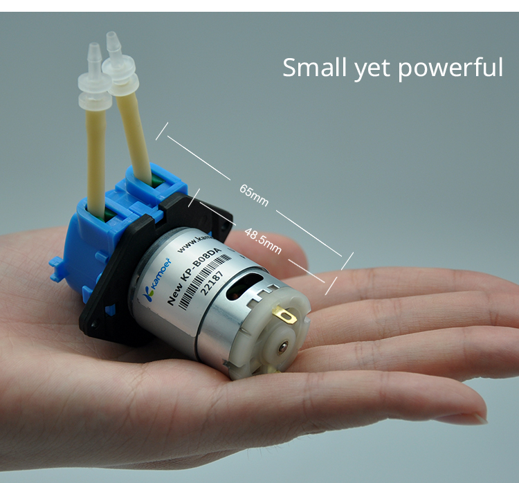 2026 new NKP 6V 12V 24V DC mot - مراجعة Nutrition & Fitness Hub Photos وسعره