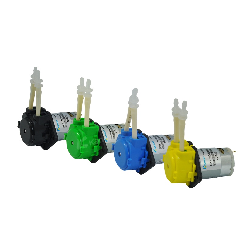 2026 new NKP 6V 12V 24V DC mot - مراجعة Nutrition & Fitness Hub Photos وسعره