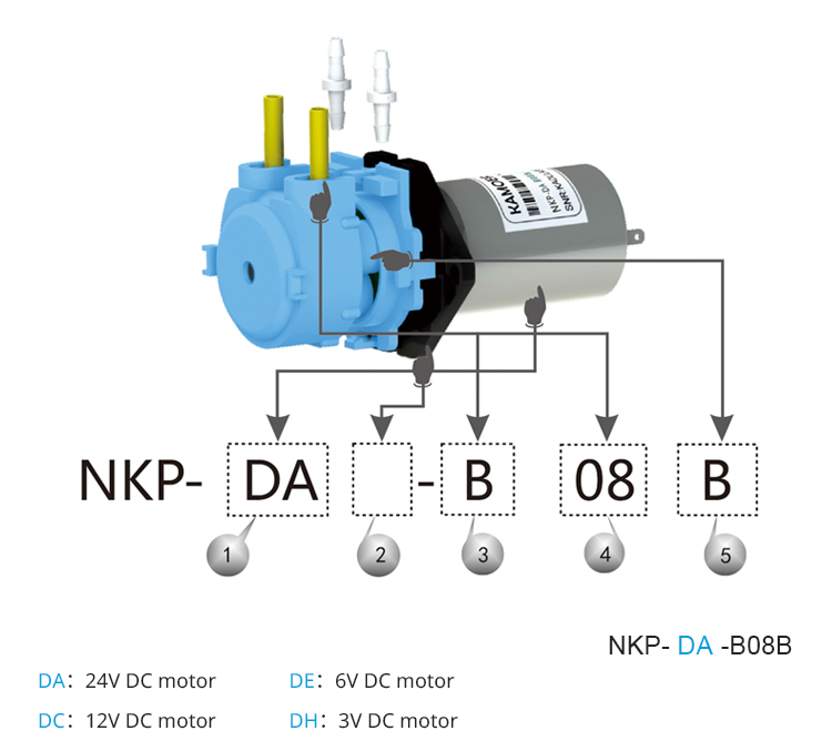2026 new NKP 6V 12V 24V DC mot - مراجعة Nutrition & Fitness Hub Photos وسعره