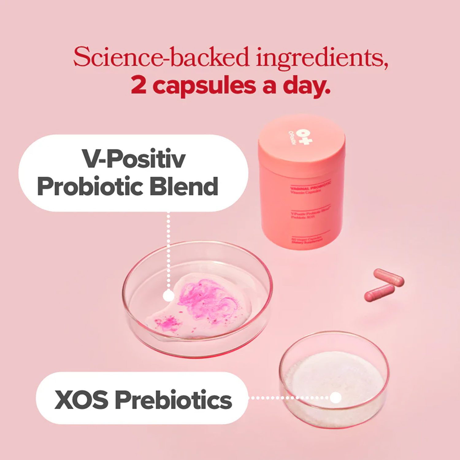 Vagianl Probiotics for Women p - مراجعة Probiotics Women Health وسعره