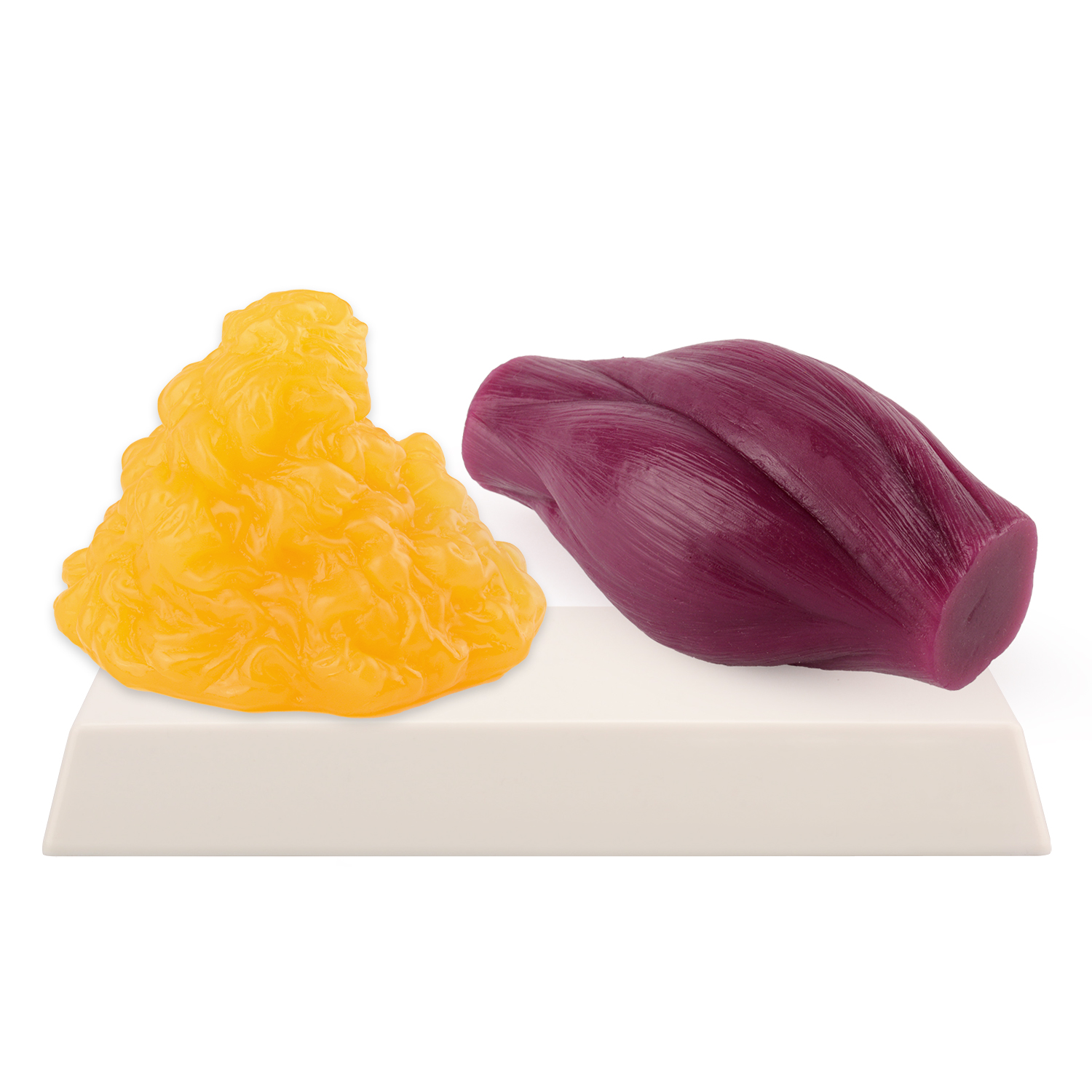 1lb Fat Replica & Muscle to Ke - مراجعة Nutrition In Fitness وسعره
