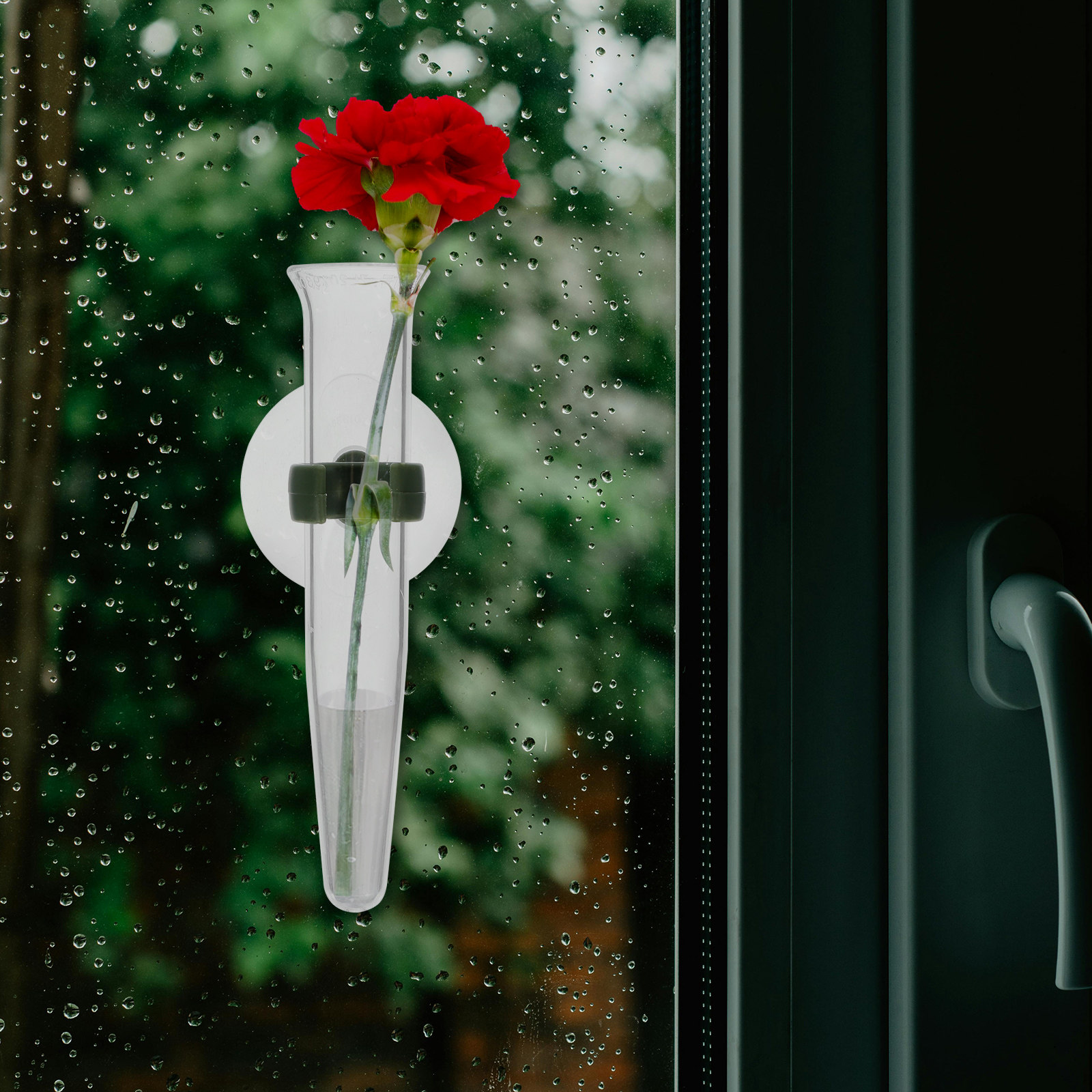 8Pcs Flower Hose Storage Silic - مراجعة Nutrition & Fitness Hub Photos وسعره