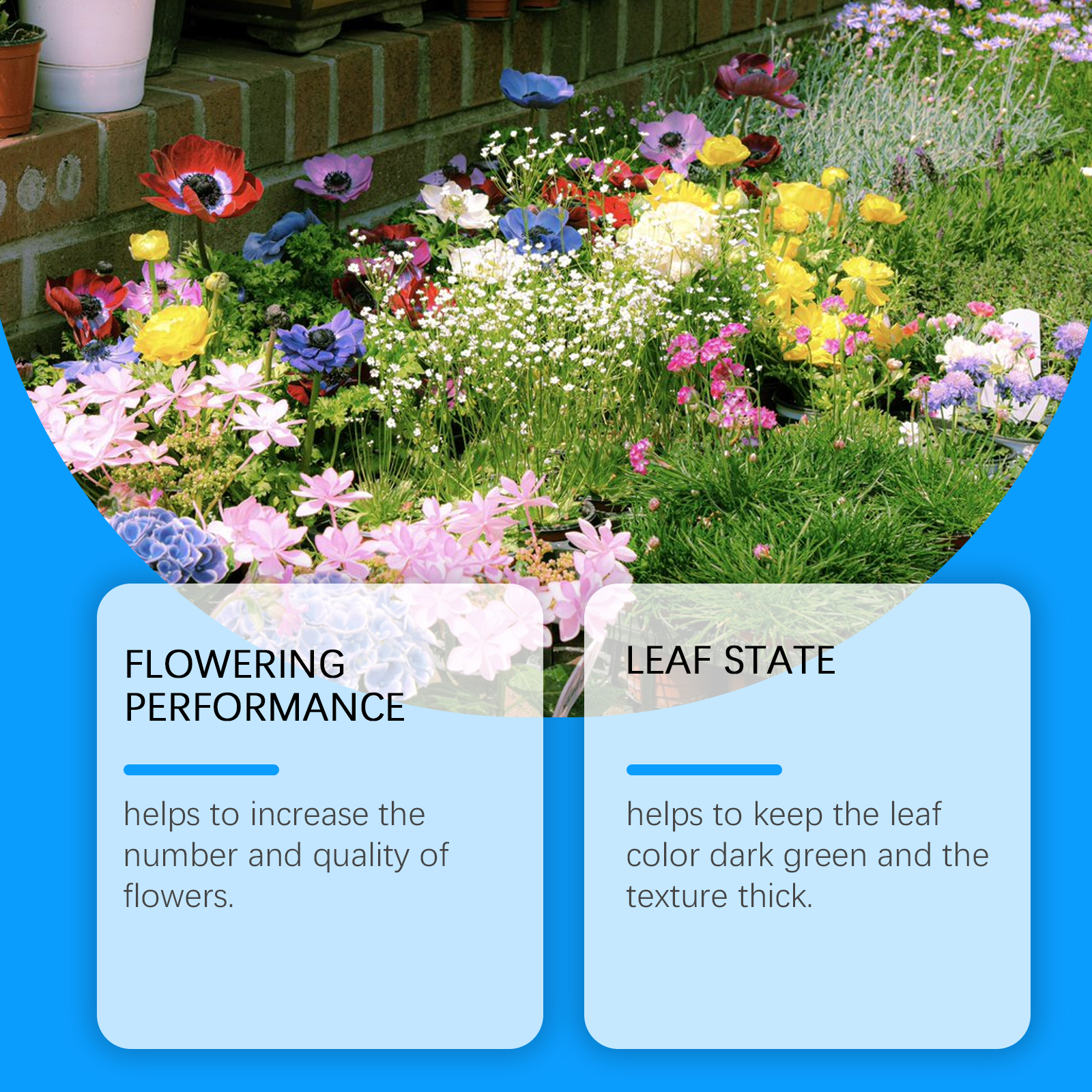 Flower Nutrient Solution Liqui - مراجعة Nutrition & Fitness Hub Photos وسعره