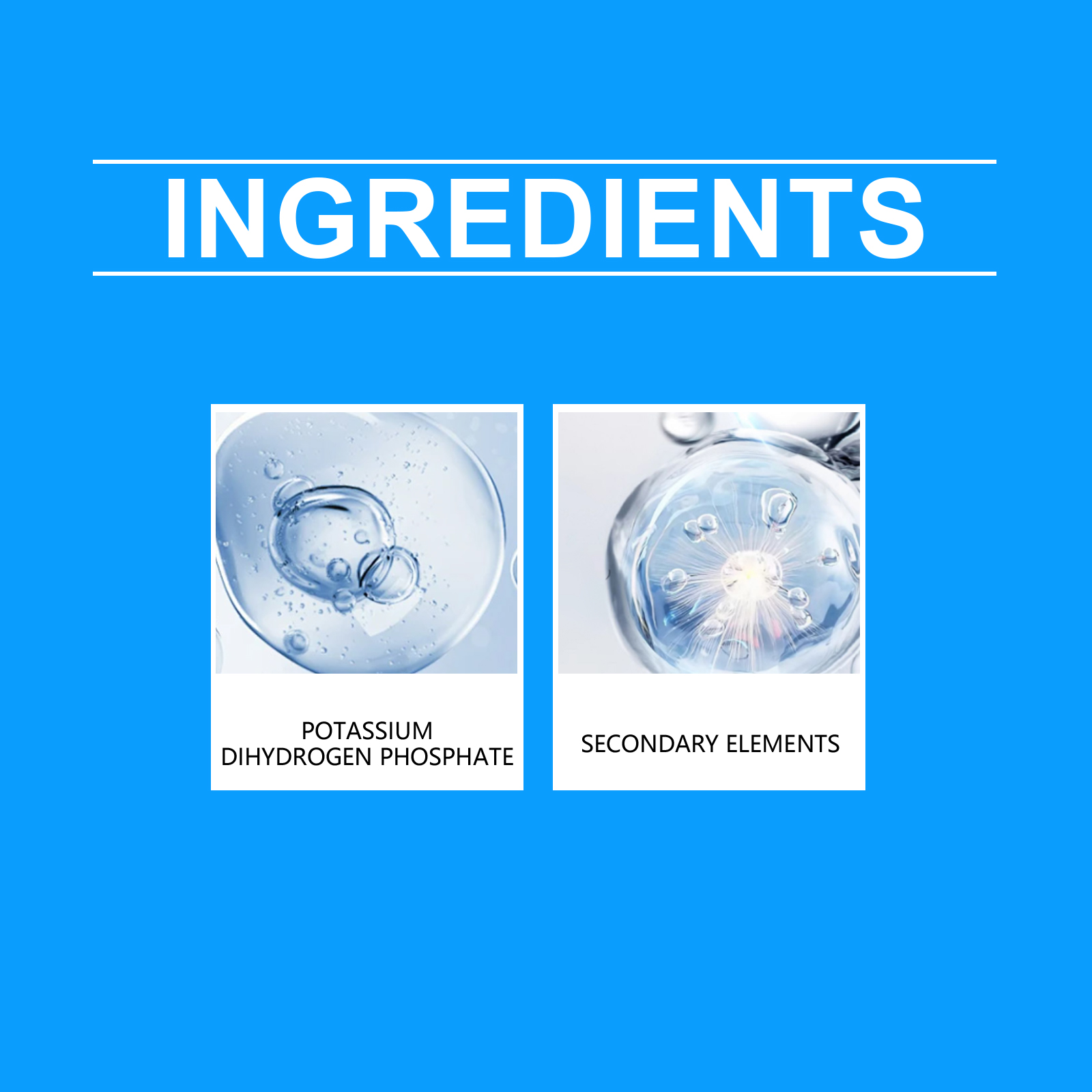 Flower Nutrient Solution Liqui - مراجعة Nutrition & Fitness Hub Photos وسعره
